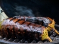 Jak si na zahradě vypěstovat krásně barevné lilky