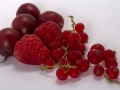 berries-838216_1280