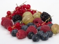 berries-838323_1280