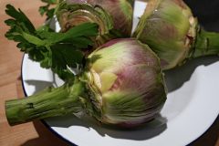 artichokes-5004092_1280