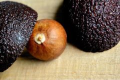 avocado-3692918_1280