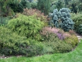 Zahrada s vřesovištěm IMG_0032