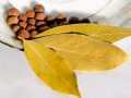 bay-leaf-and-allspice