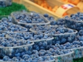 blueberries-849251_1280