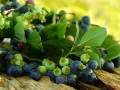 fruit-946499_1280