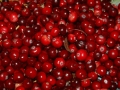 cranberries-957583_640