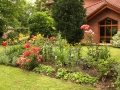 Zahrada se starým ořešákem IMG_8645