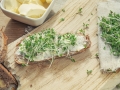 Jak si vypěstovat aromatické bylinky – II Foto 5