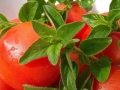 Jak si vypěstovat aromatické bylinky a jak je používat 13