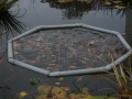 Podzimní zahrada s maxijezírkem IMG_0133