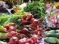 beets-1378705_1280