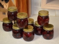 preserving-248030_1280