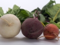 vegetables-838321_1280