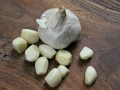 Jak si na zahradě vypěstovat český česnek Foto 10
