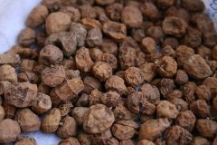 Cyperus_esculentus_012