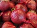 Jak na zahradě pěstovat cibuli po celý rok 14