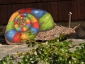 dřevo na zahradě IMG_0718
