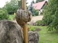 dřevo na zahradě IMG_3136