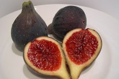 640px-Breva_ficus_carica