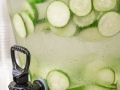 Jak si na zahradě vypěstovat okurky hadovky Foto 11