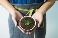 agriculture-close-up-cultivation-ecology-preview