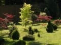Zahrada s arboretem IMG_8923