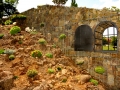 Zahrada s arboretem IMG_9182
