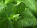 background-16058_1280
