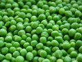 pea-1205673_1280