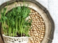 pea-shoots-1271882_1280