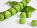 peas-2686_1280