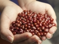 red-beans-587592_1280