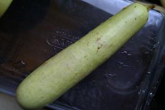 Lagenaria_siceraria_indian_cultive_Dudhi_a_bit_like_a_courgette