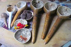 Why_not_nano_-_Lagenaria_siceraria_dipper_gourd_cucharon