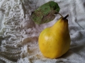 quince-1812039_640