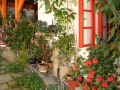Jihočeská zahrada ve stylu Provence IMG_0185