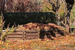 autumn-3755125_1280