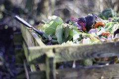 garden-4725522_1280