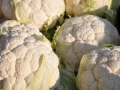vegetables-699995_640