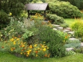 Barevná zahrada v Krušných horách IMG_8271