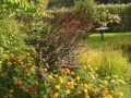 Barevná zahrada v Krušných horách IMG_8282
