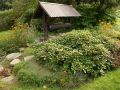 Barevná zahrada v Krušných horách IMG_8284
