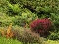 Barevná zahrada v Krušných horách IMG_8300