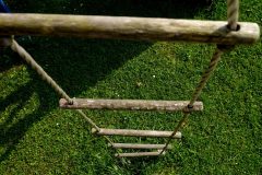 tree-grass-branch-wood-lawn-leaf-951157-pxhere.com_