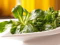 lambs-lettuce-1197802_1280