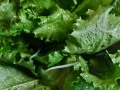 lettuce-792059_1280