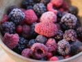 forest-fruit-1037777_1280