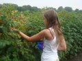 girl-745235_1280