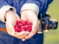 healthy-1283030_1280