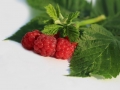 raspberry-829496_1280
